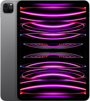 11-inch iPad Pro Wi-Fi (4th Gen) - 2TB - Space Grey
