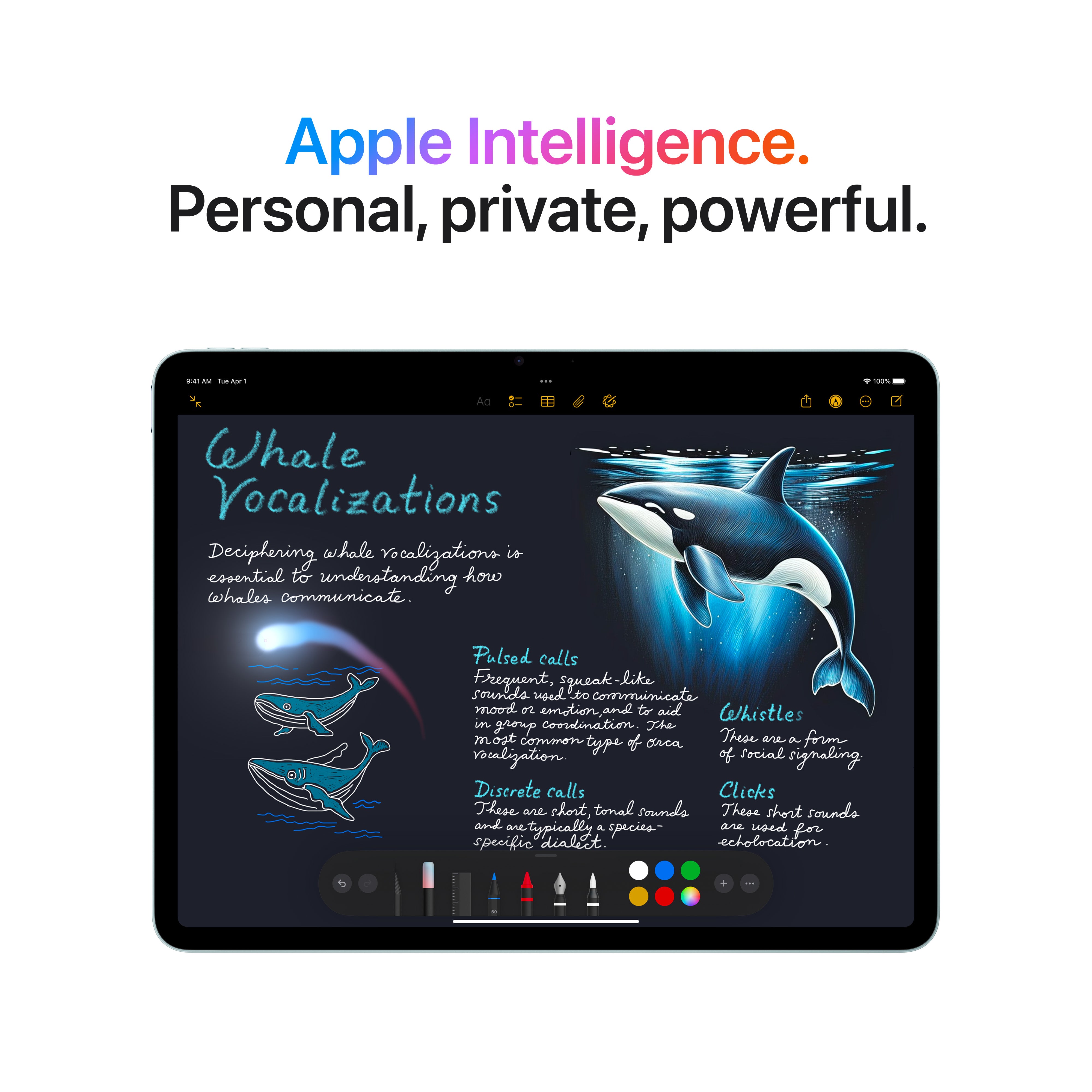 11-inch iPad Air Wi-Fi 512GB - Space Grey (M3) – iQ Jersey