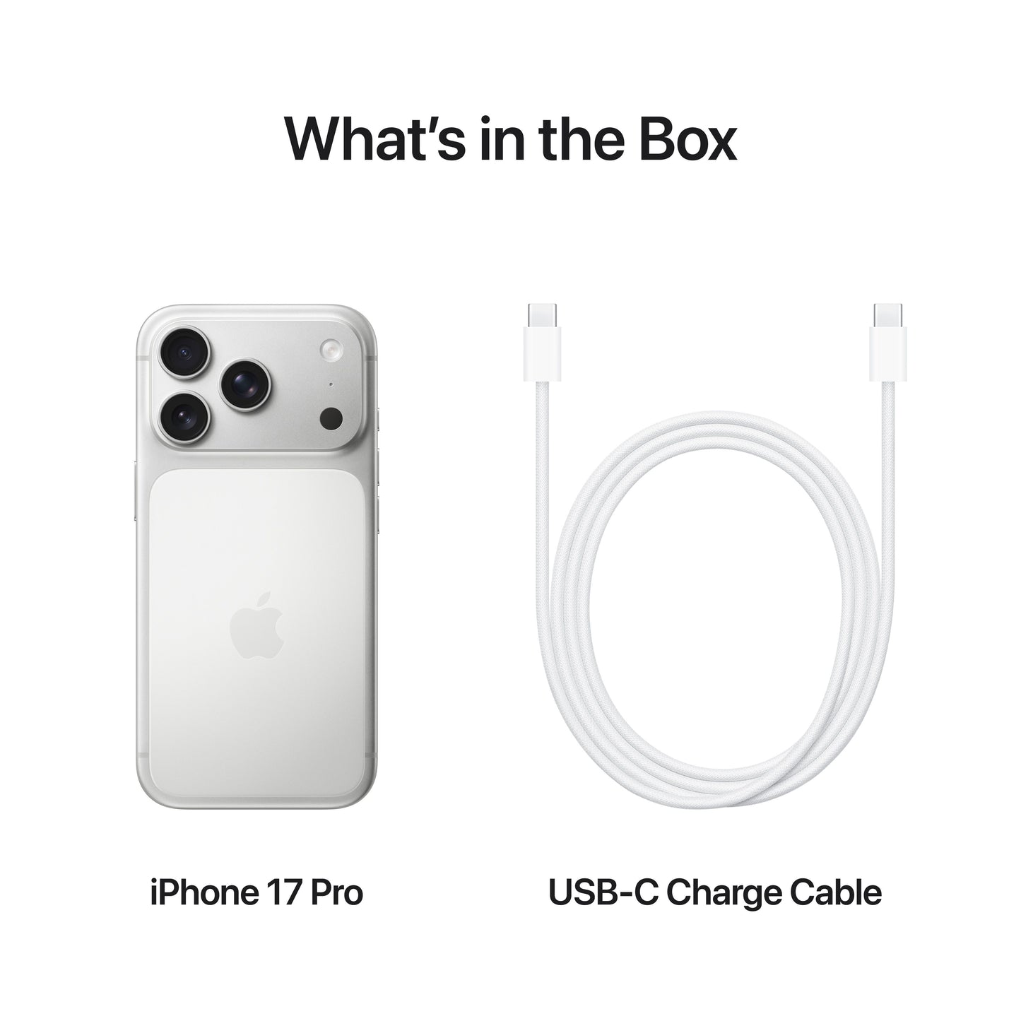 iPhone_17_Pro_Silver_PDP_Image_Position_8__GBEN